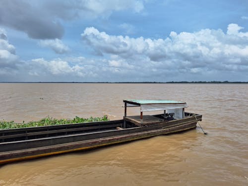 Kostenloses Stock Foto zu boot, delta, düsterer himmel