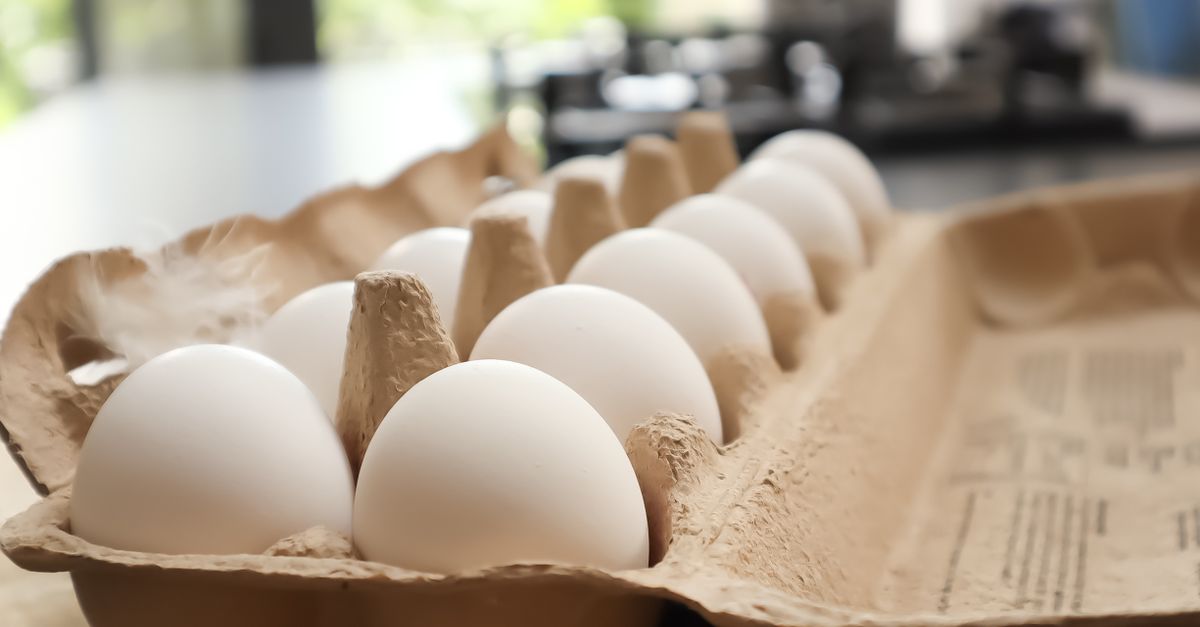 healthy high protein breakfast eggs greek yogurt morning light
