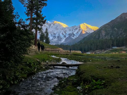 Free The fairy meadows  Stock Photo