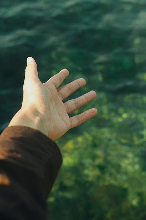 Hand of a Person Reaching Toward the Water 
