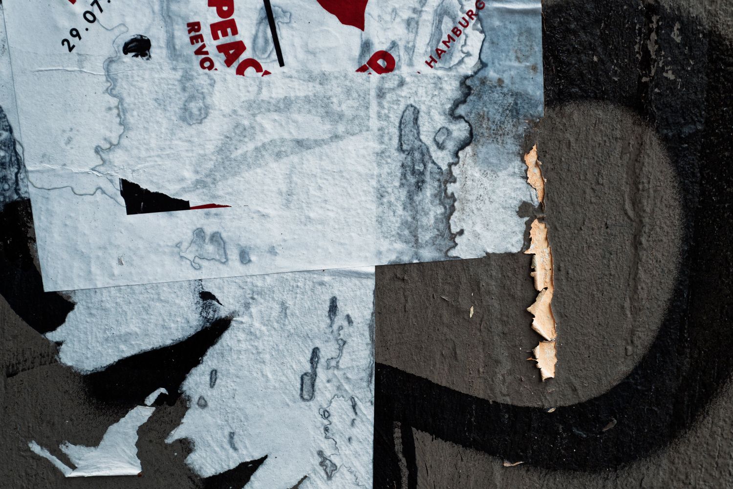 Cropped Poster Torn Posters Photos, Download The BEST Free Torn Posters Stock Photos ...