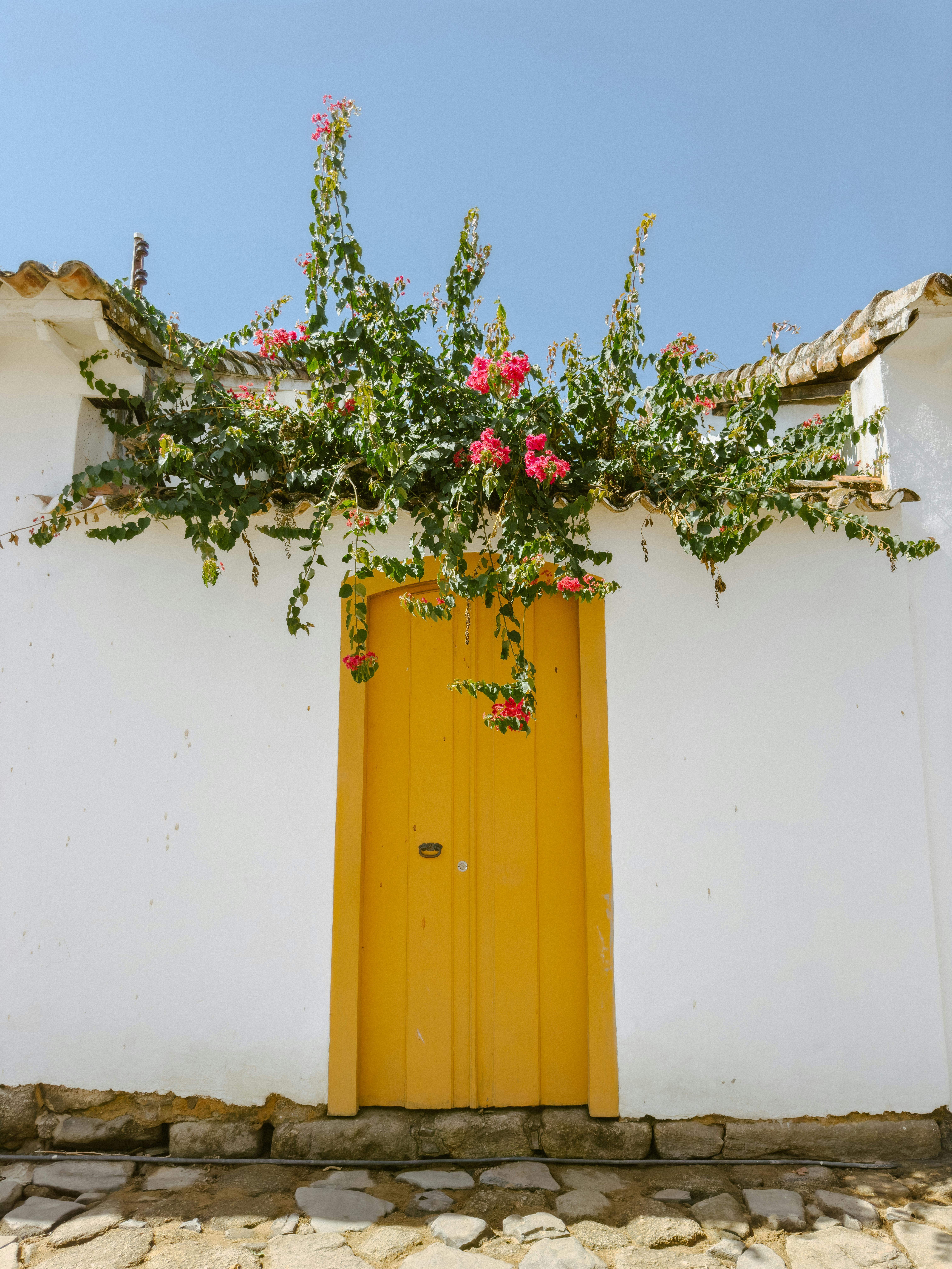 A vibrant yellow door adorned with flowering vines against a white wall, capturing rustic charm.
