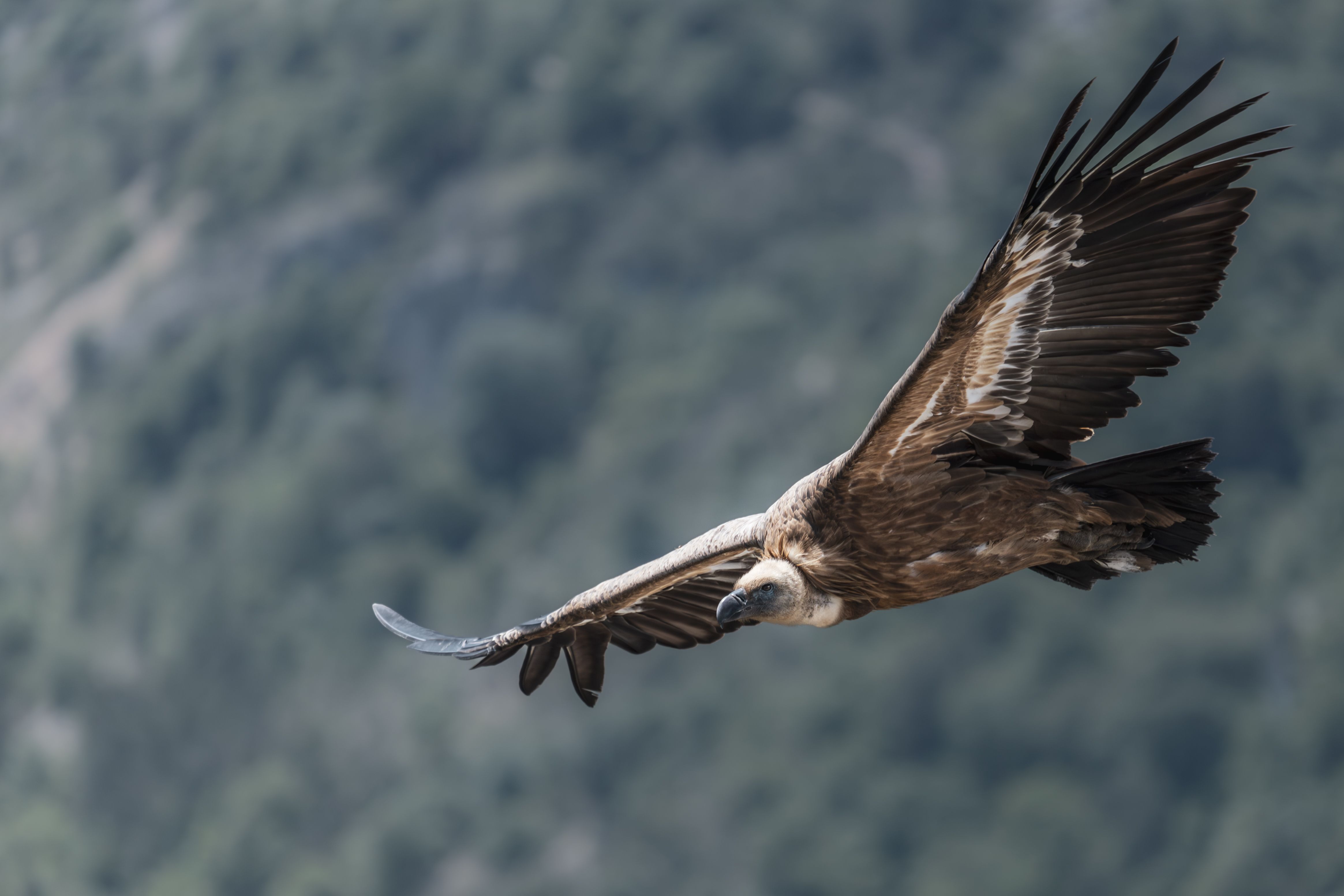 Miễn phí Ảnh lưu trữ miễn phí về alps, alps thuộc pháp, bầu trời Ảnh lưu trữ