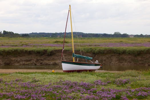 A serene scene of a moored sailing boat surrounded by vibrant marshland flowers in Blakeney, England.
