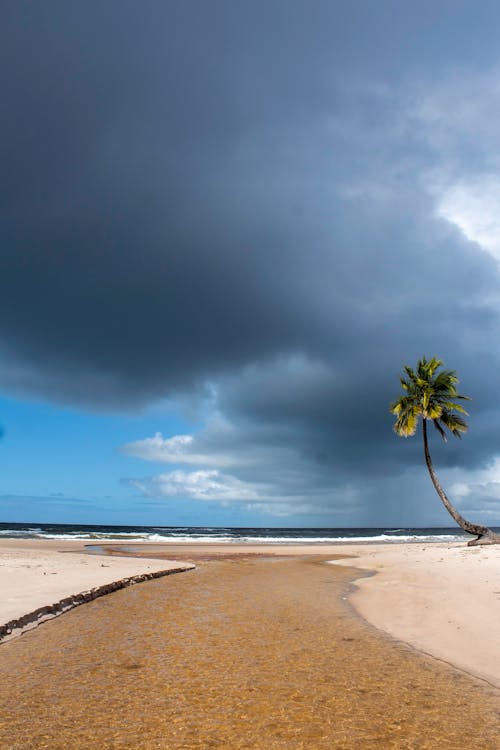 Storm Clouds over Exotic Beach