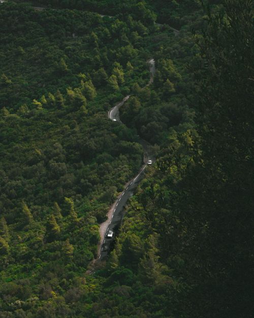 Free A captivating aerial view of a winding road cutting through a lush green forest landscape. Stock Photo