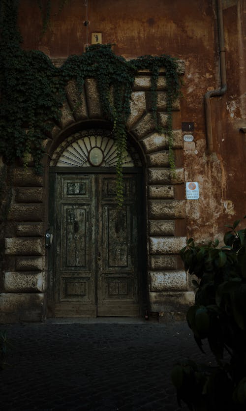 Old Entrance with Wooden Doors Decorated with Ivy