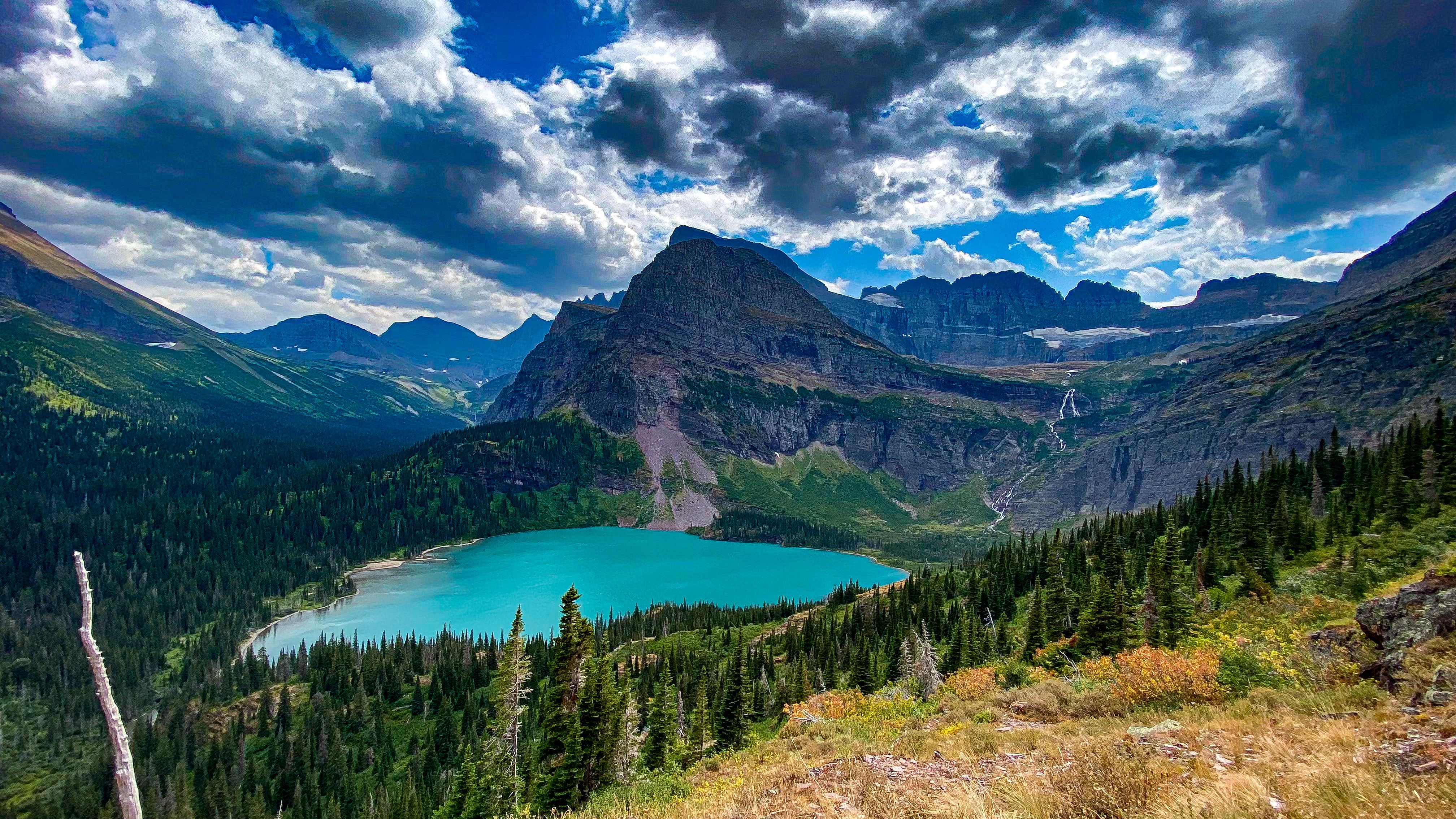pexels-photo-17906879.jpeg?cs=srgb\u0026dl=pexels-nathan-steele-274130124-17906879.jpg\u0026fm=jpg
