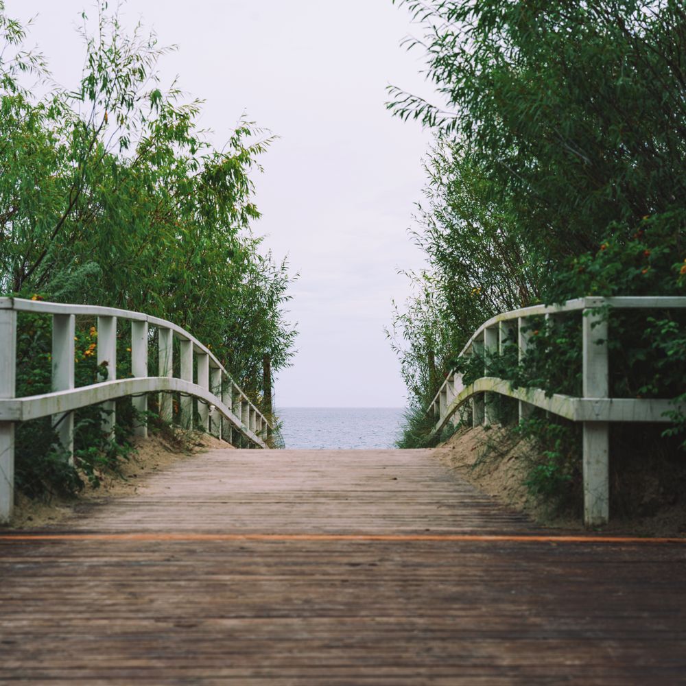 Fence and Decking Painting in Eden Park — woodwork brushed to a crisp, smooth line