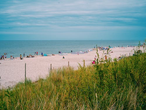 Бесплатное стоковое фото с берег, злаки, люди