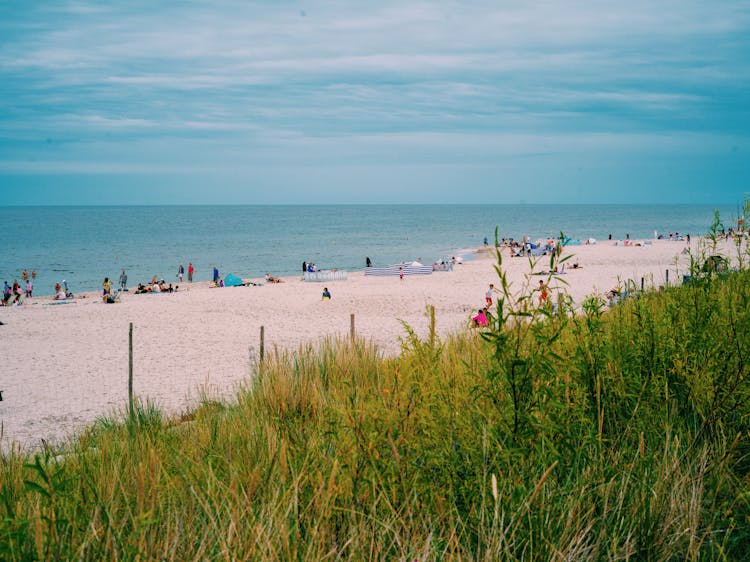 Grasses And People On Beach