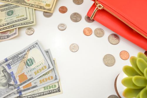 Free Dollar bills and change scattered near a red wallet on a white surface with a plant accent. Stock Photo