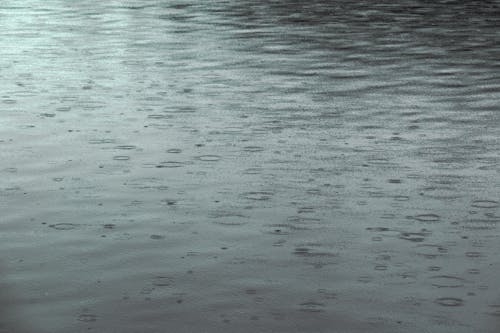 Gratis lagerfoto af nedbør, regn, regndråber
