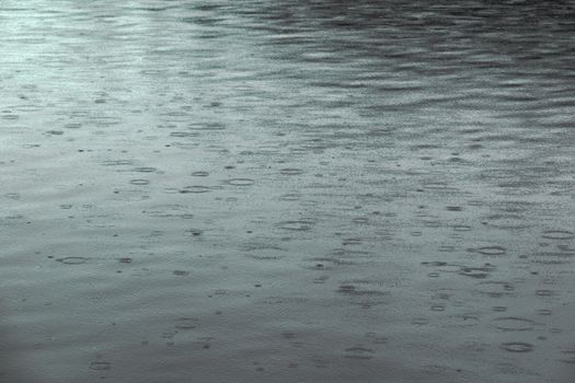 A tranquil close-up view of raindrops creating ripples on a water surface.