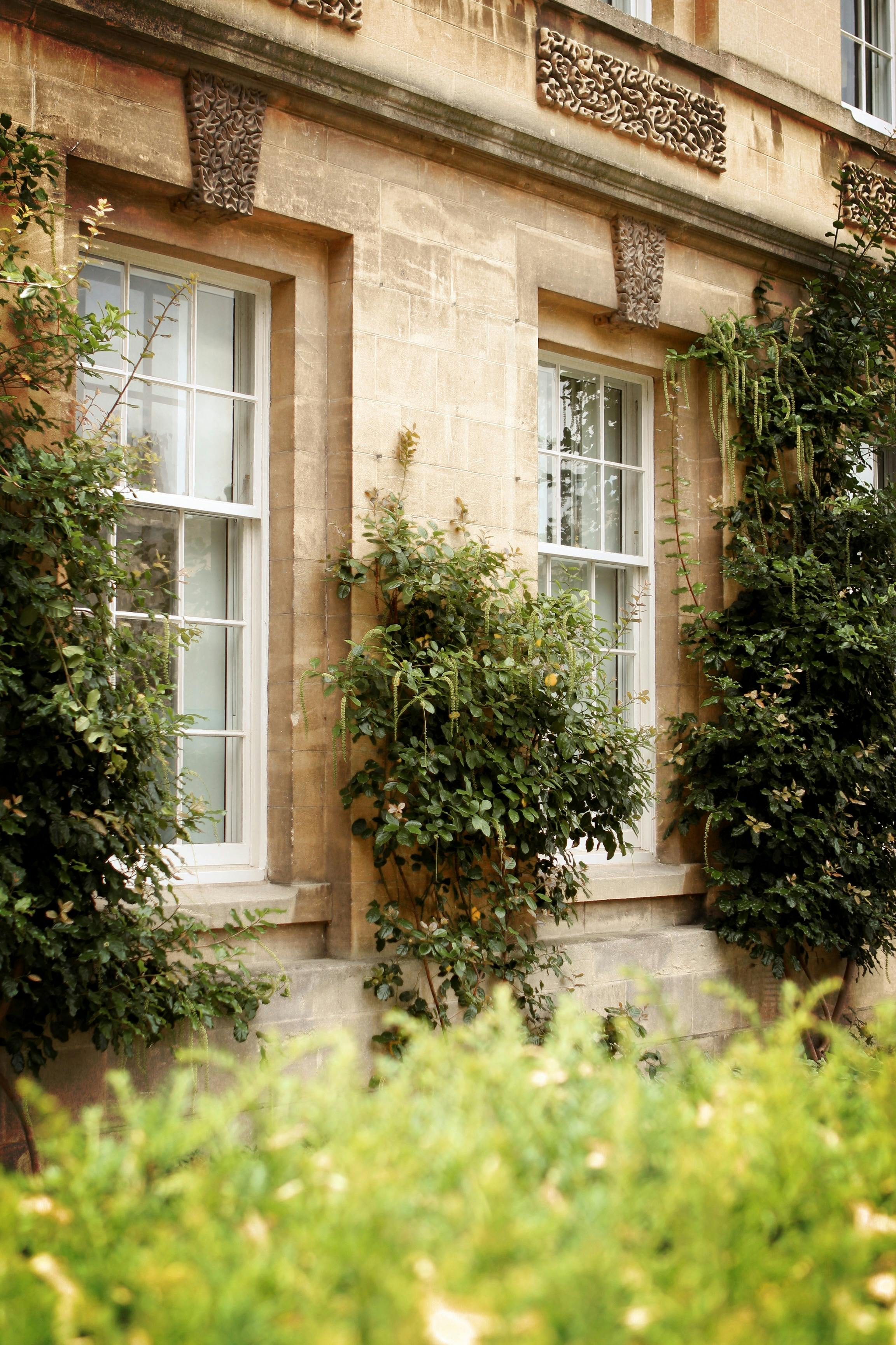 Ivy Oxford Photos, Download The BEST Free Ivy Oxford Stock Photos & HD ...