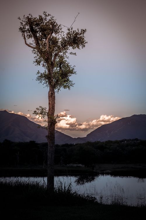 Free Ocaso Stock Photo