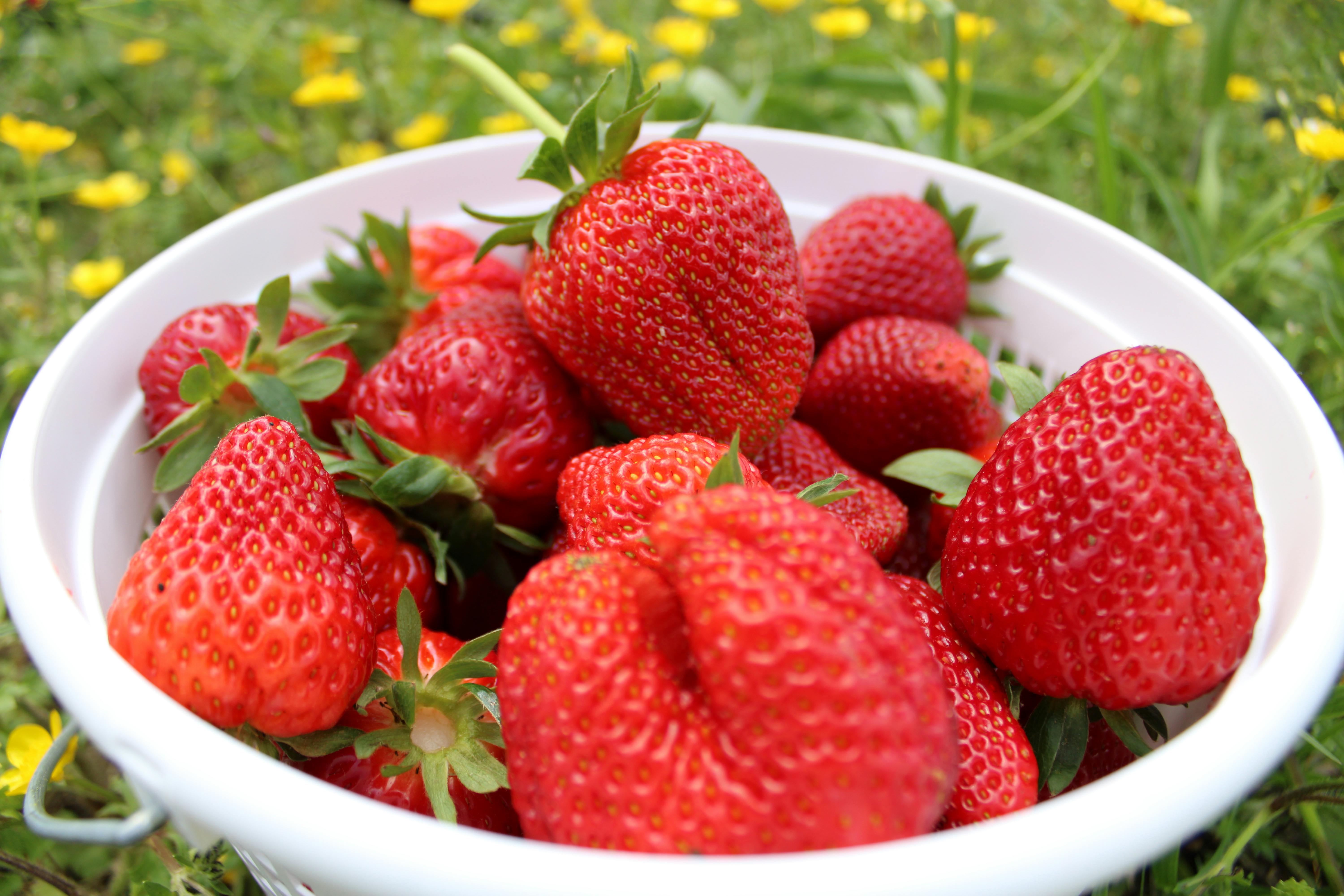 Amaya blue Fotografia