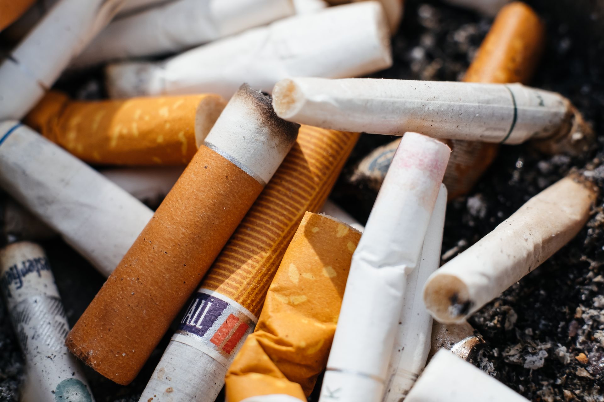 Ashtray Full of Cigarette Butts