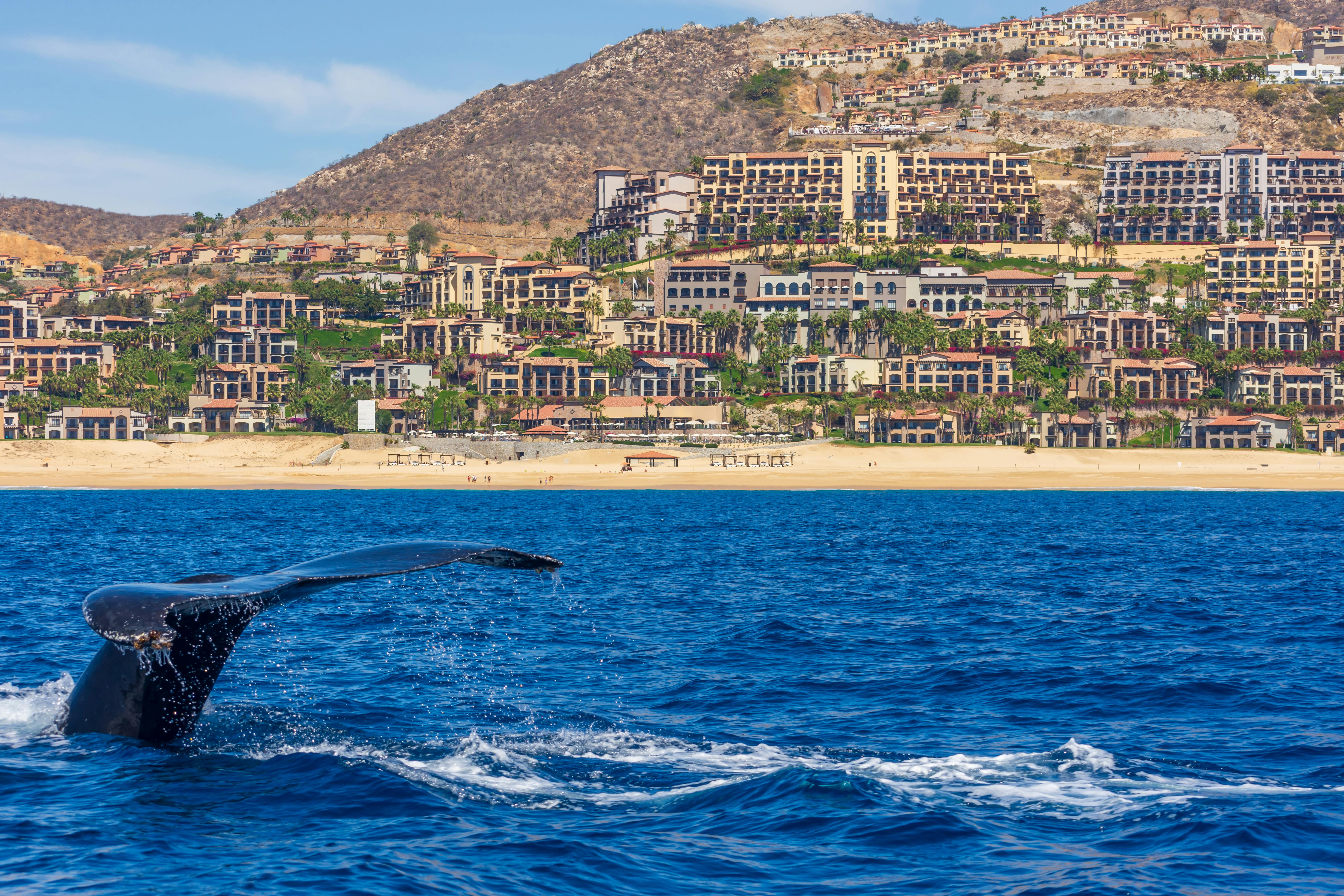 MND Local: How Los Cabos is positioning itself as a ‘second stop’ destination for World Cup travelers — Photo by Israel Torre
