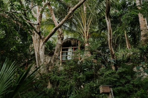 Free A rustic house nestled amidst dense green trees and vibrant tropical foliage, showcasing serene nature. Stock Photo