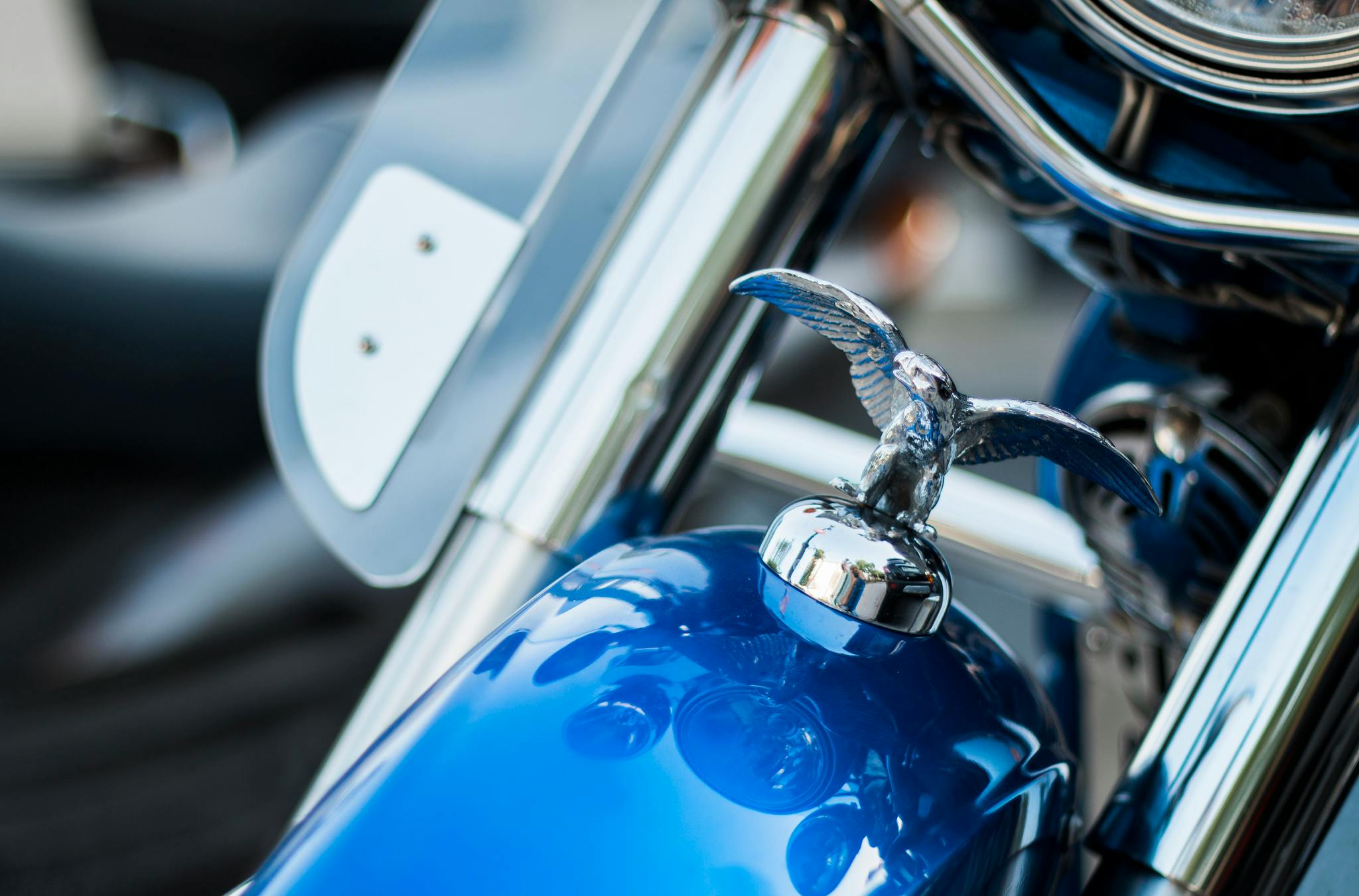 Harley Davidson Emblem on Top Front of Blue Motorcycle ...