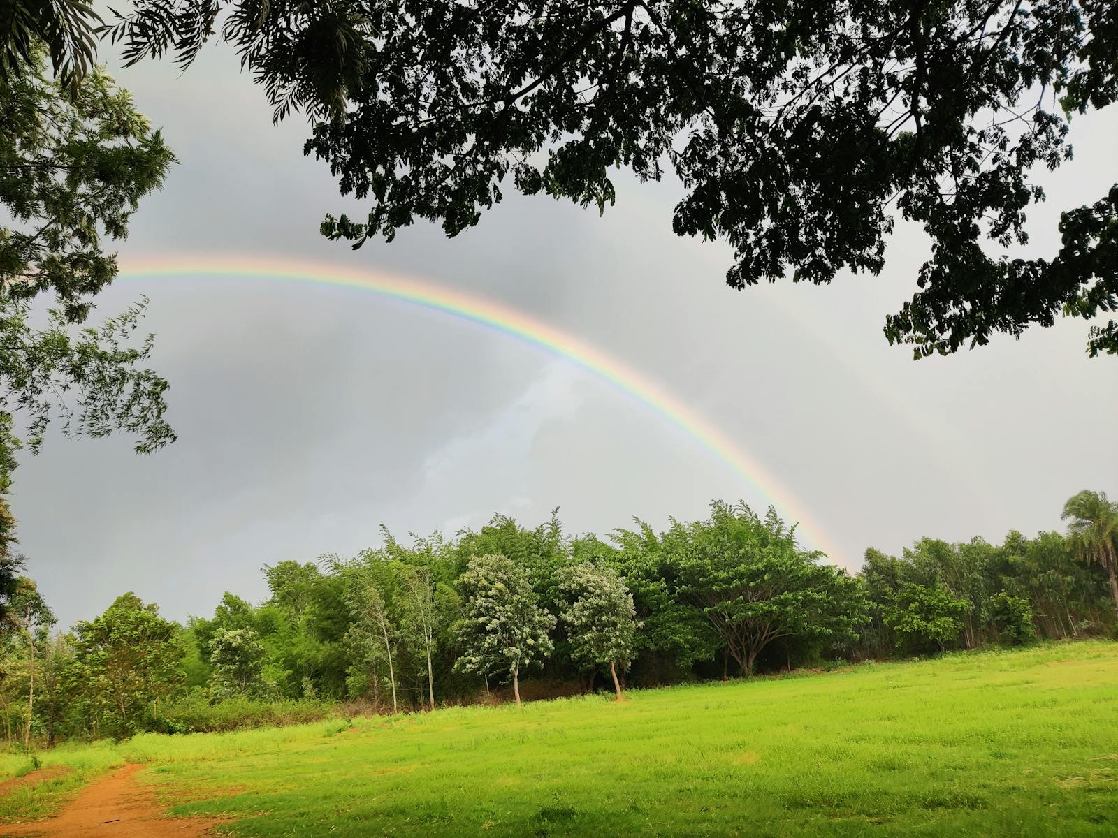 サッカードリブル練習