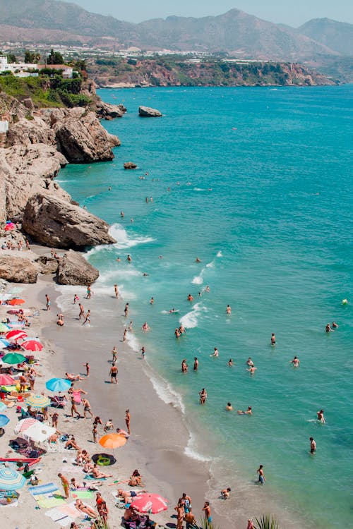 People Swimming on Ocean While Others Sunbathing · Free ... - 500 x 750 jpeg 71kB