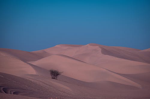 Sand Hills on Desert