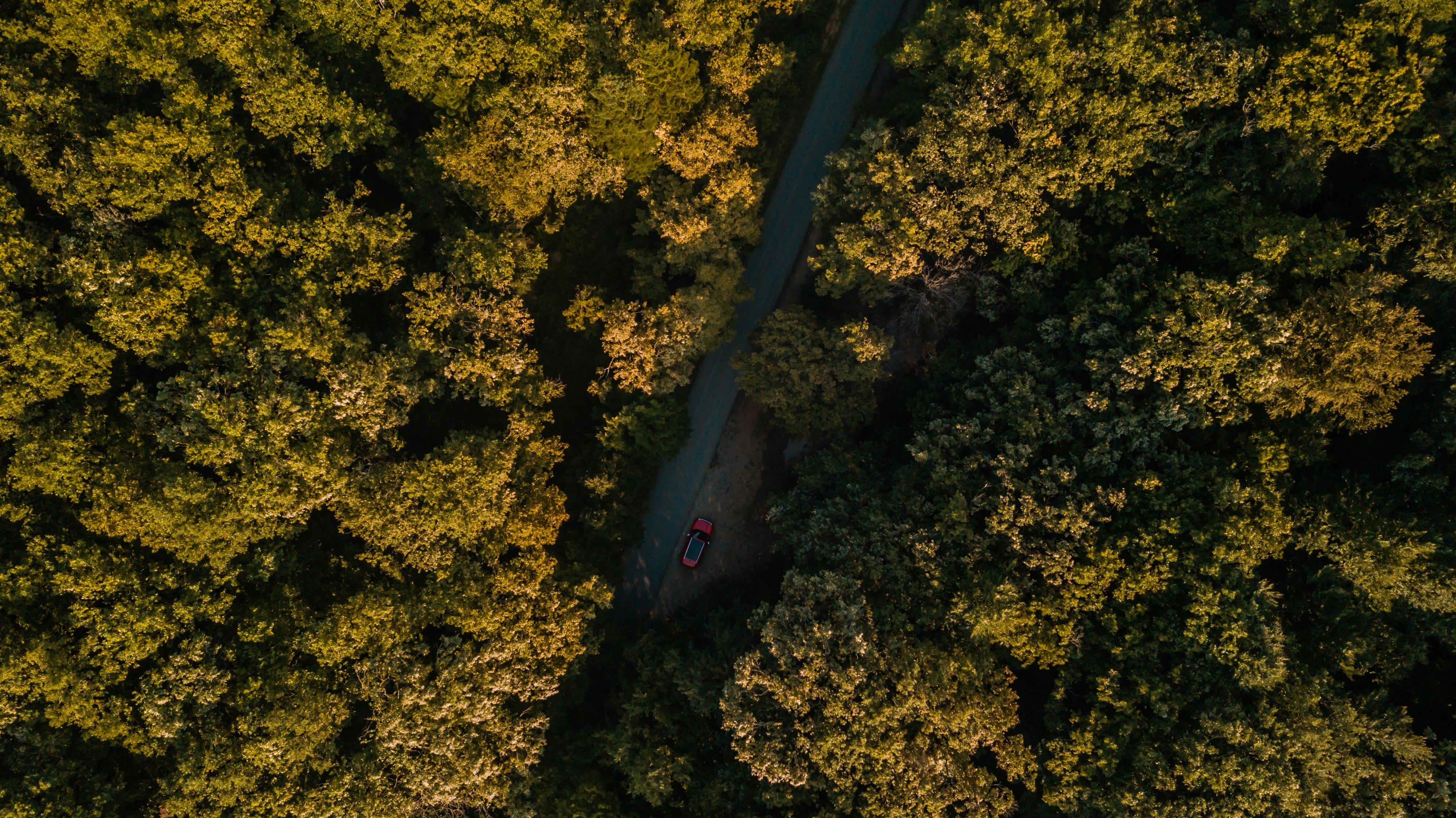 evs explained sustainability — Photo by Mo Eid on Pexels