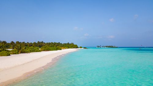 Free A serene tropical beach with palm trees and clear blue waters, perfect for a relaxing vacation. Stock Photo