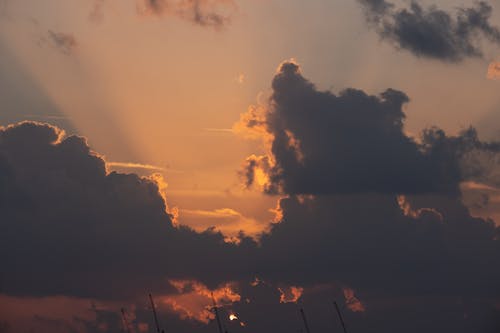 คลังภาพถ่ายฟรี ของ ซิลูเอตต์, ตอนเย็น, ตะวันลับฟ้า