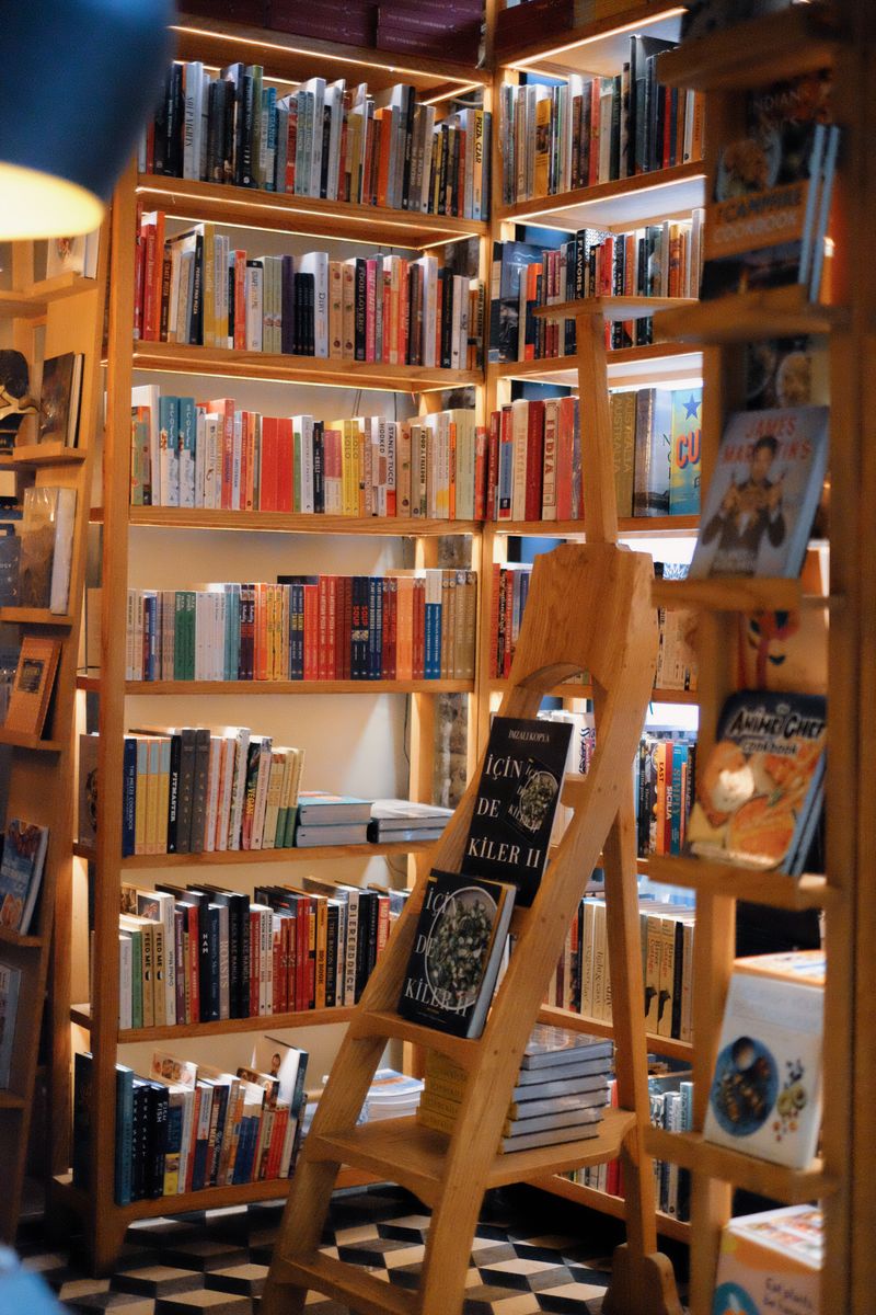 Bookshop interior, reference photo