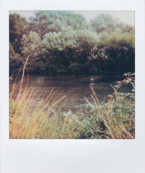 Ilmainen kuvapankkikuva tunnisteilla joki, luonto, maaseudun