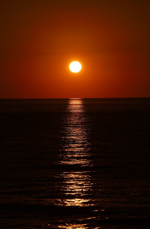 Gratis lagerfoto af aftensol, gylden solnedgang, sol