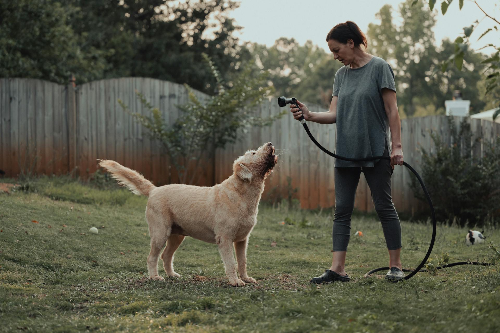 A woman is holding a dog while standing in a yard