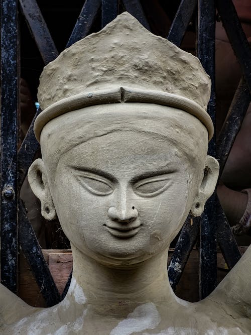 Close-up of a Sculpture Head 
