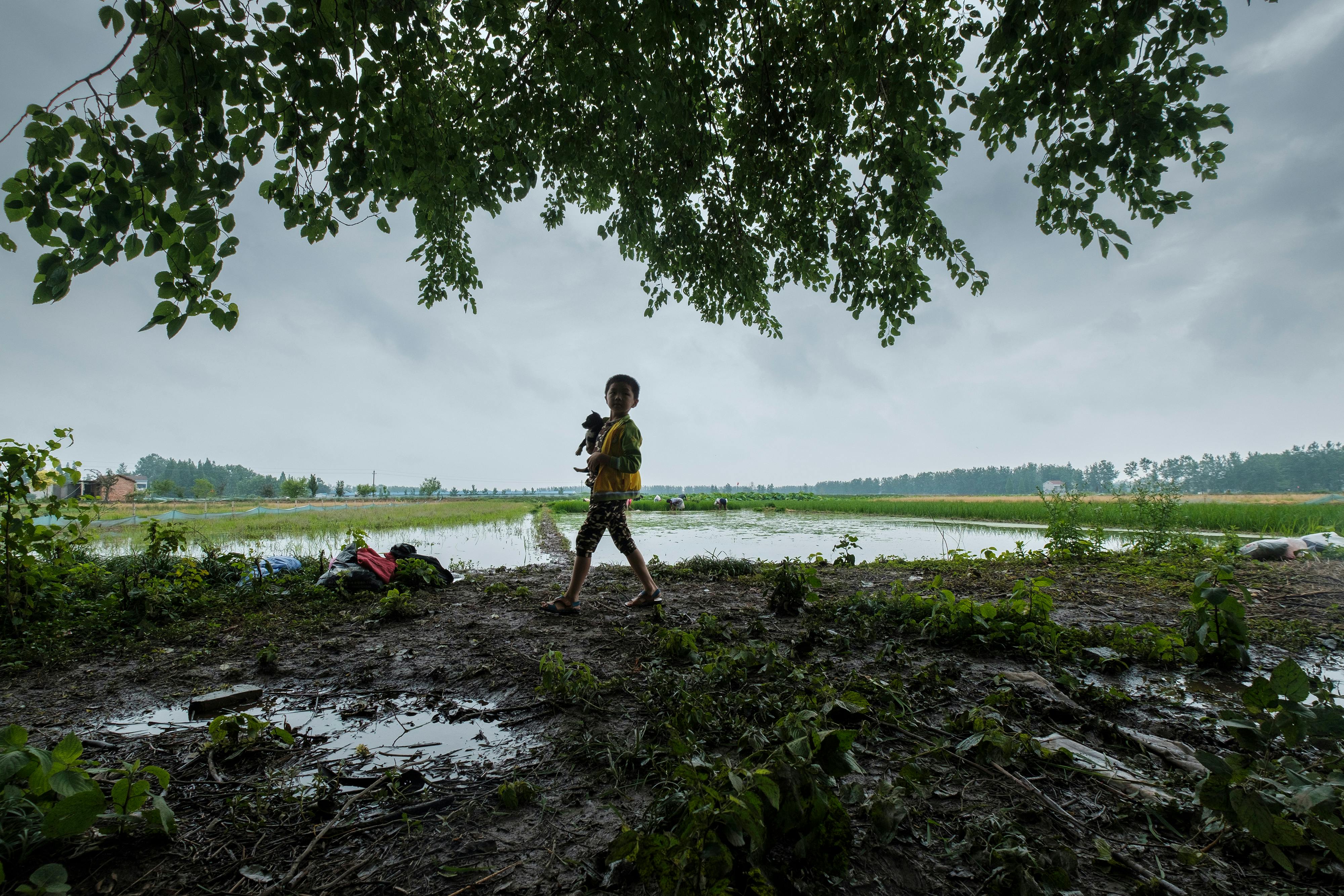 Explore the Connection Between Wet Noses and Dog Emotions: What You Need to Understand