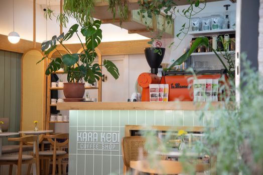Charming İstanbul coffee shop interior with green plants and stylish design.