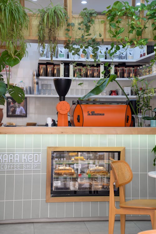 Free Explore the inviting interior of Kara Kedi Coffee Shop in Istanbul, featuring lush plants and modern decor. Stock Photo