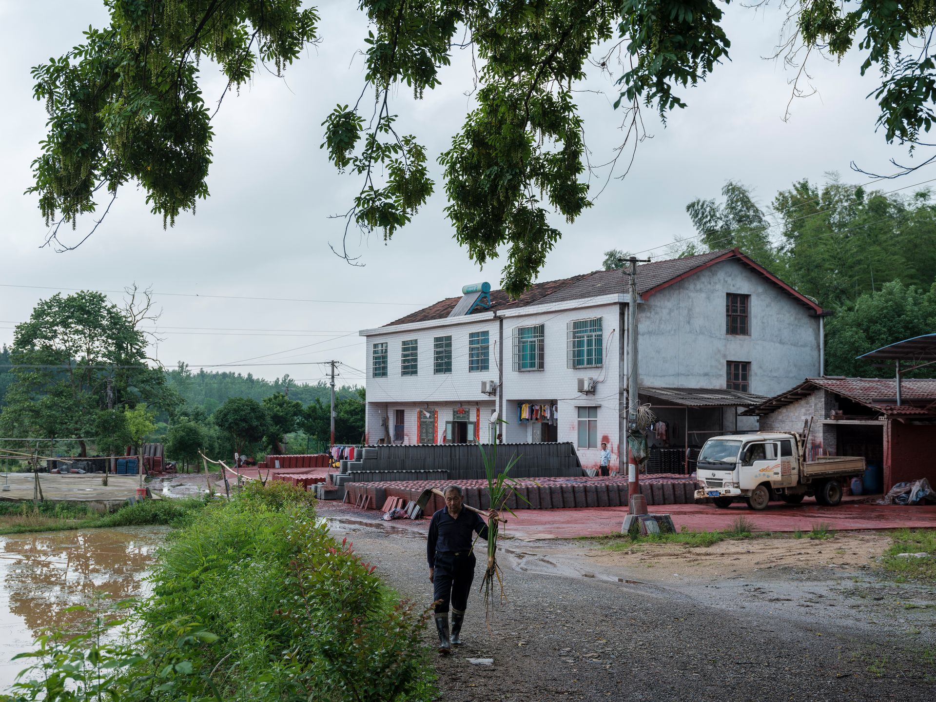 A man carrying plants walks along a path in a rural village setting beside a two-story building.
