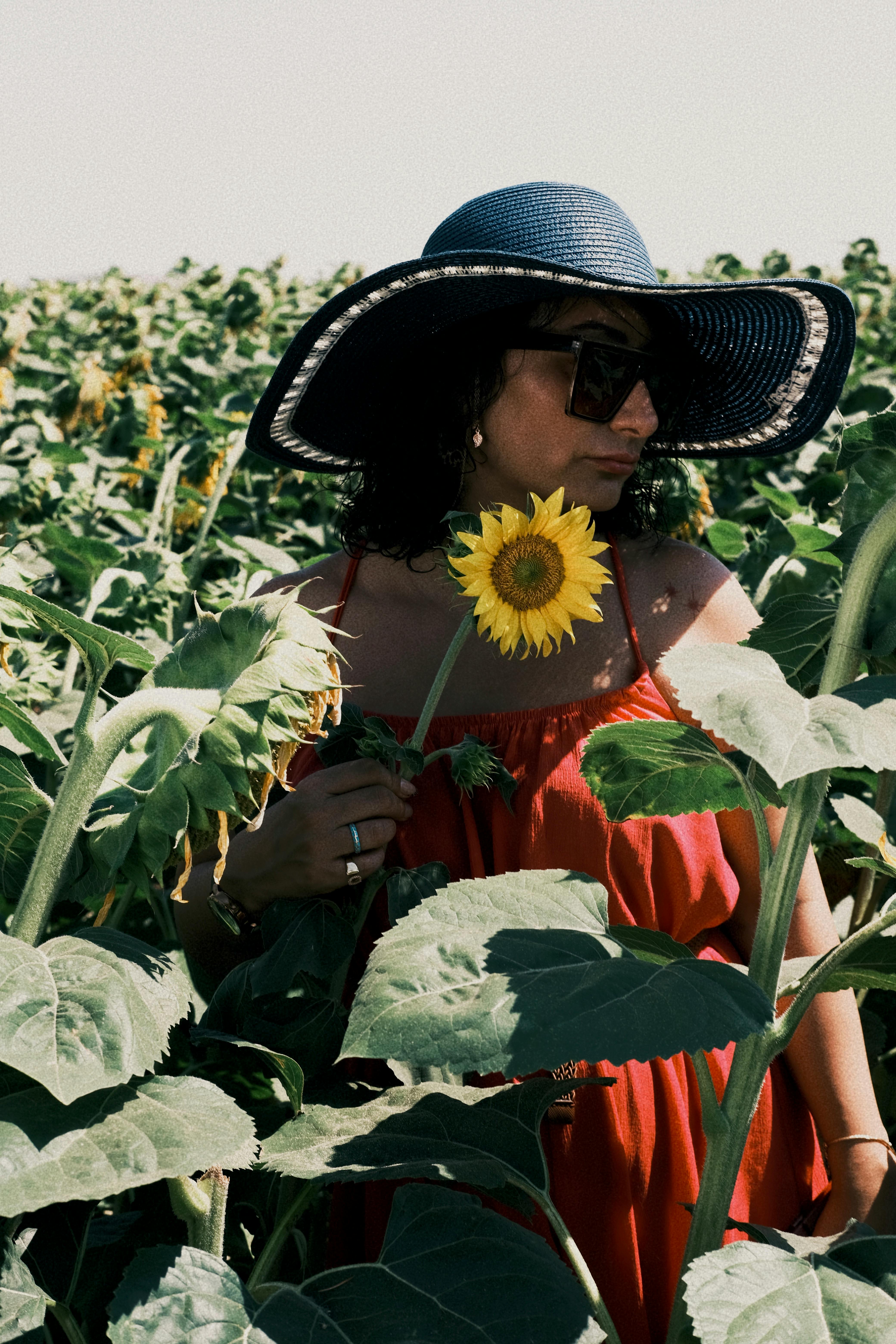 Girl Putting On A Straw Hat In A Sunflower Field Photograph by