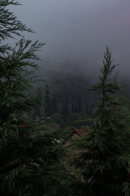 垂直拍摄, 山, 山谷 的 免费素材图片