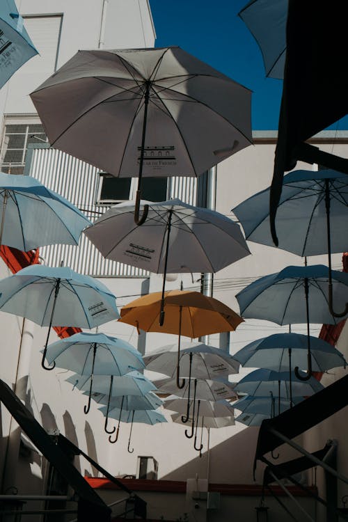 Umbrellas Hanging above the Street 