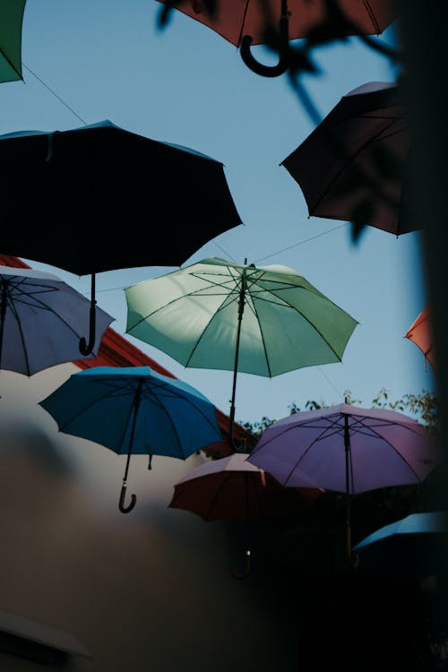 Umbrellas Hanging on a Street