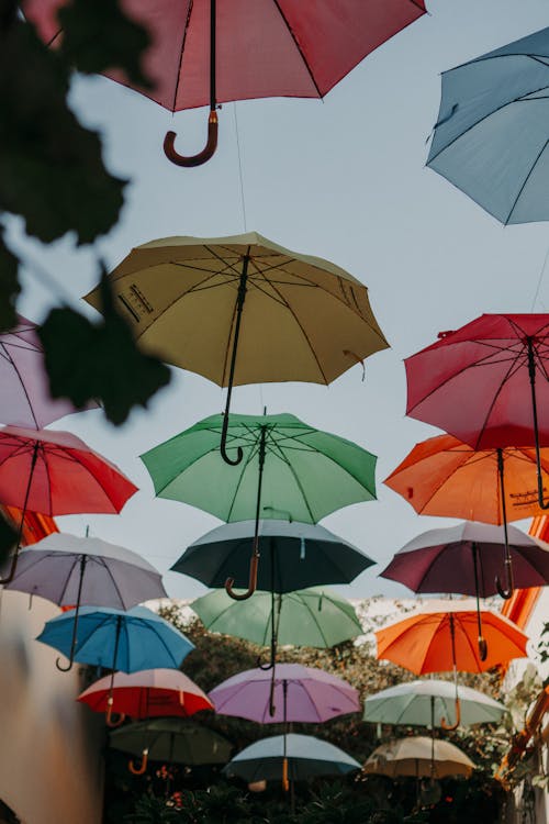 Multi Colored Umbrella Covering Urban Wires