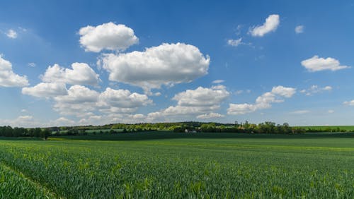 Kostnadsfri bild av blå himmel, bondgård, fluffiga moln