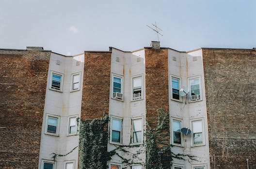 Photo by Connor McManus