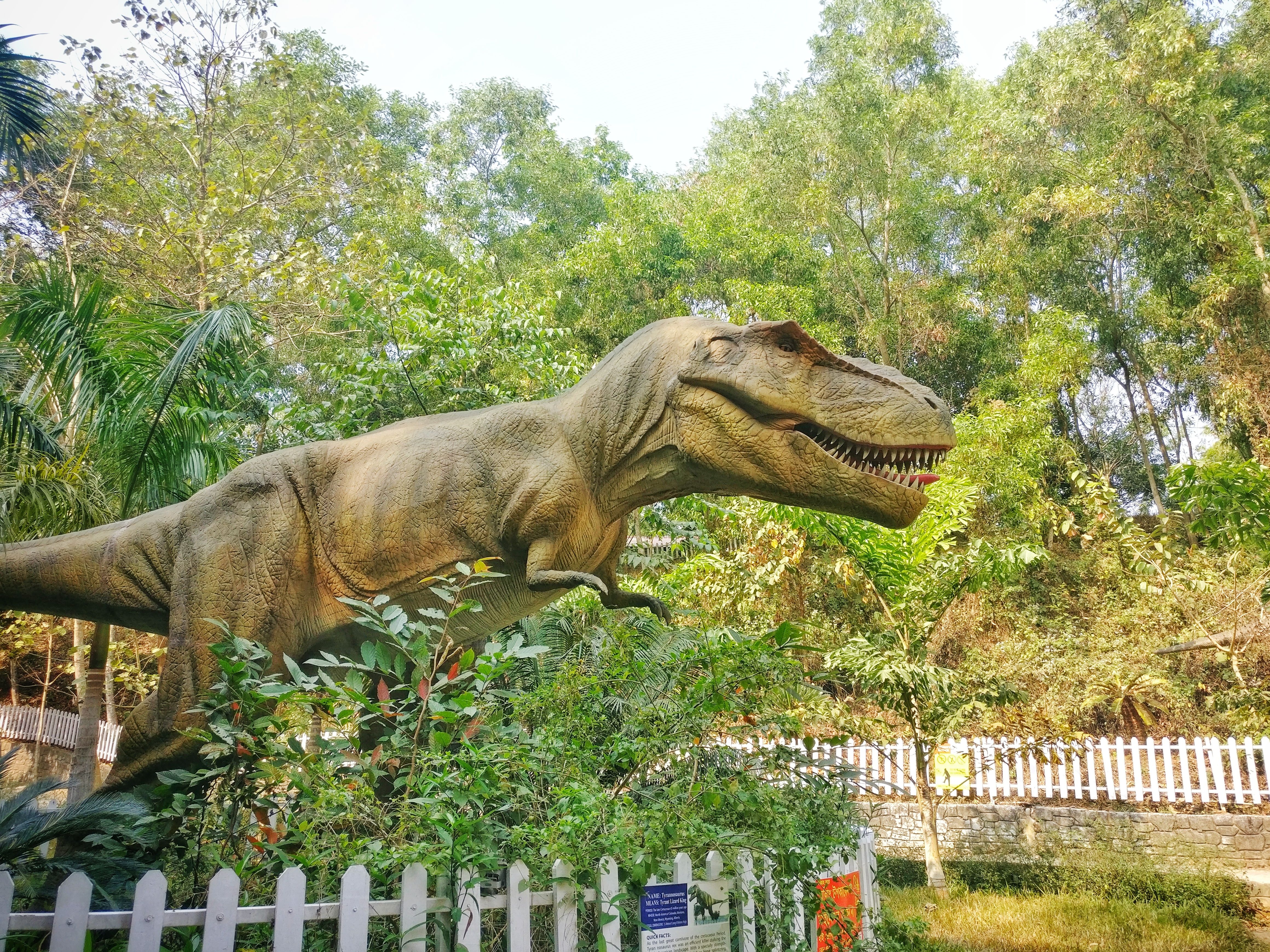 Free Stock Photo Of Animal Animal Park Dinosaur