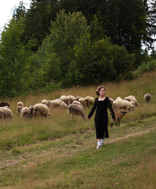 Free A woman in a black dress walks beside a flock of sheep in a rural landscape. Stock Photo