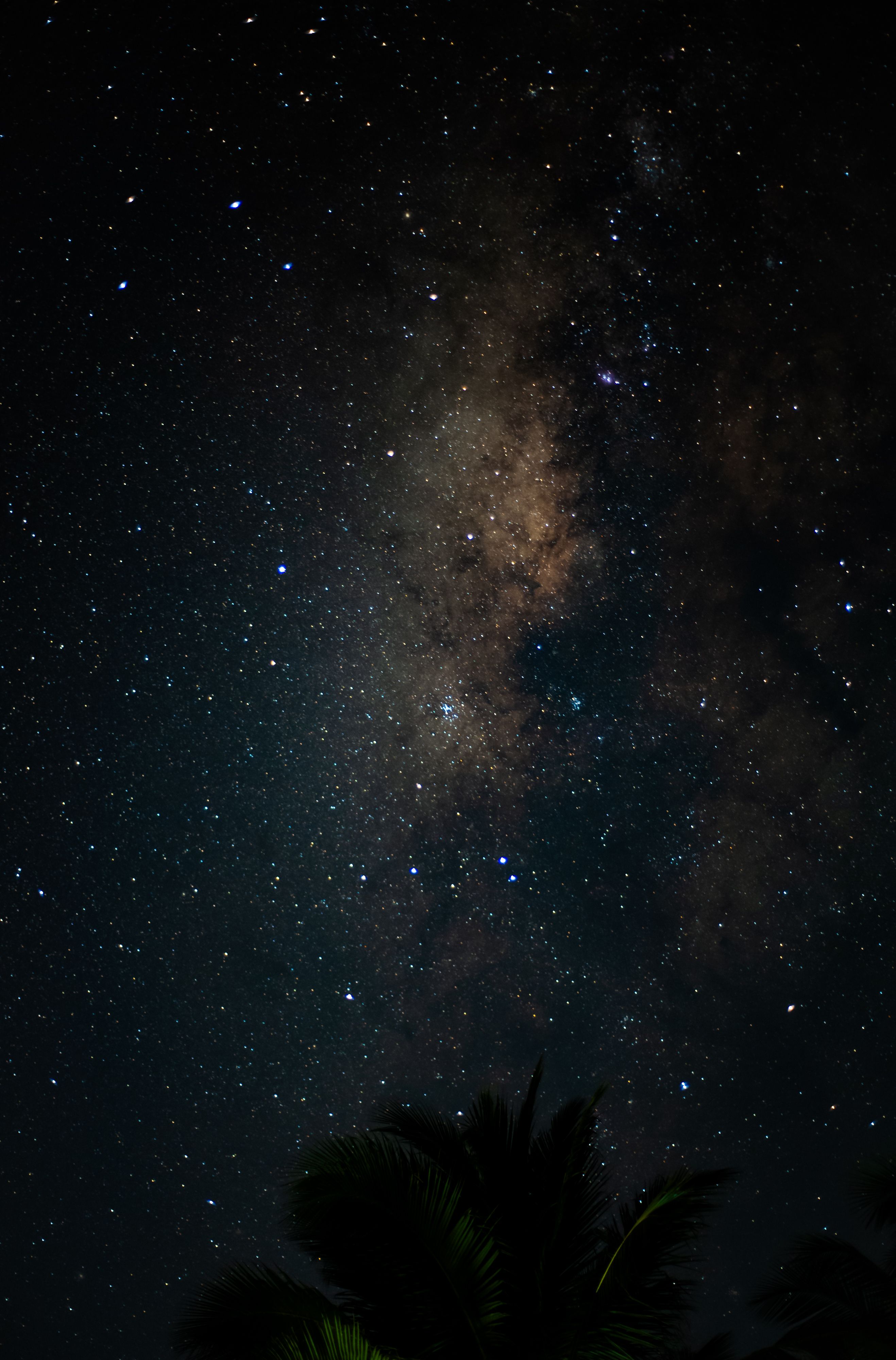 Captivating night sky featuring the Milky Way galaxy with countless stars, perfect for astronomy enthusiasts.
